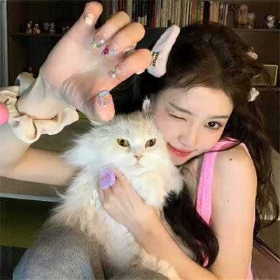 猫物件 电影版